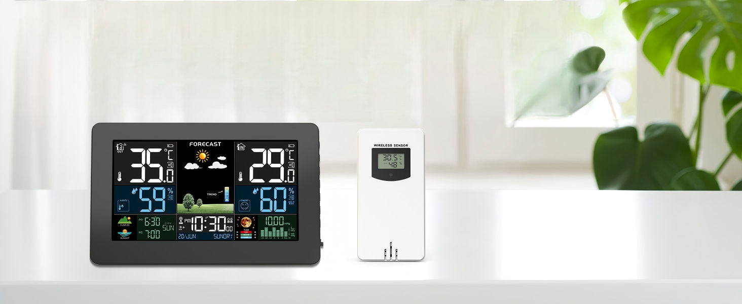 Professional Digital Hygrometer with large LCD display, white plastic housing, metal probe sensor, measuring temperature and humidity with precision accuracy